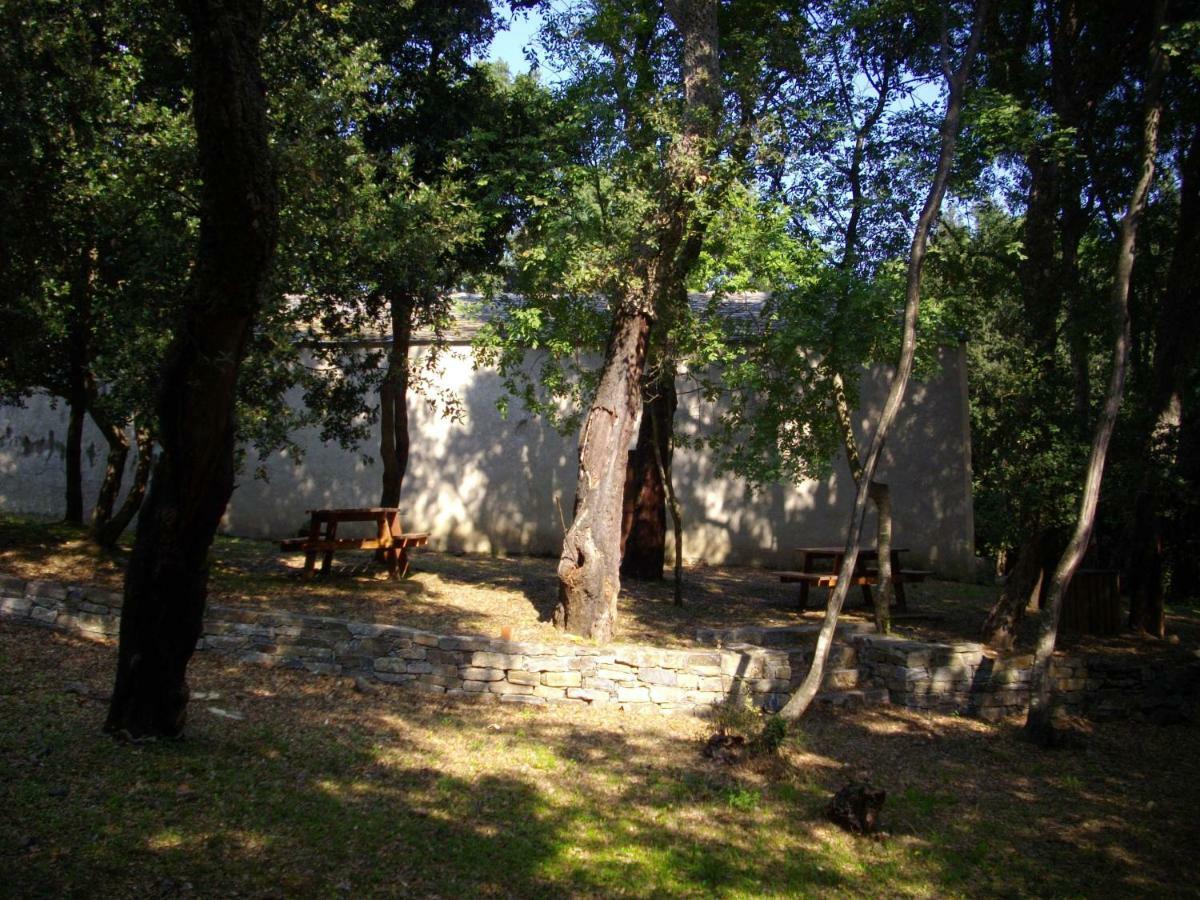 Sole E Ventu 50Qm Apartman San-Giovanni-di-Moriani Kültér fotó
