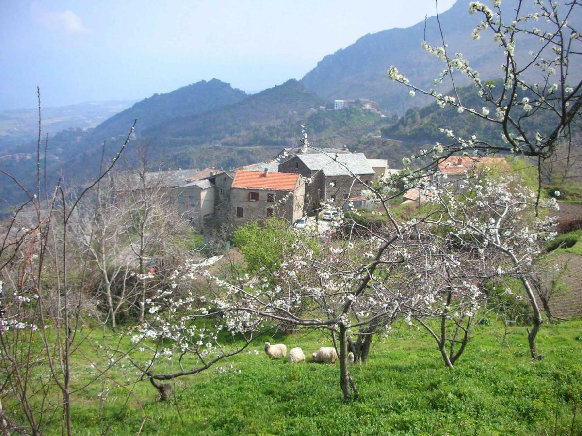 Sole E Ventu 50Qm Apartman San-Giovanni-di-Moriani Kültér fotó